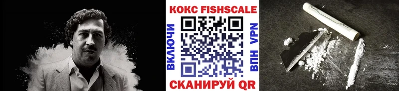 Купить  Нелидово  КОКАИН Fish Scale 