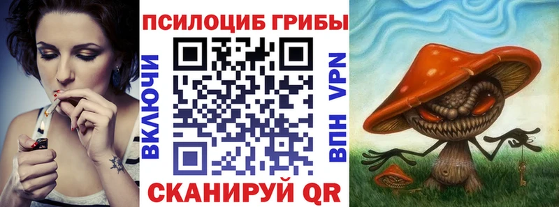 Псилоцибиновые грибы MAGIC MUSHROOMS  Купить закладки  Нелидово 